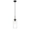 Z-Lite Monty 1 Light Pendant, Matte Black And Seedy 738P17-MB - alternate 5